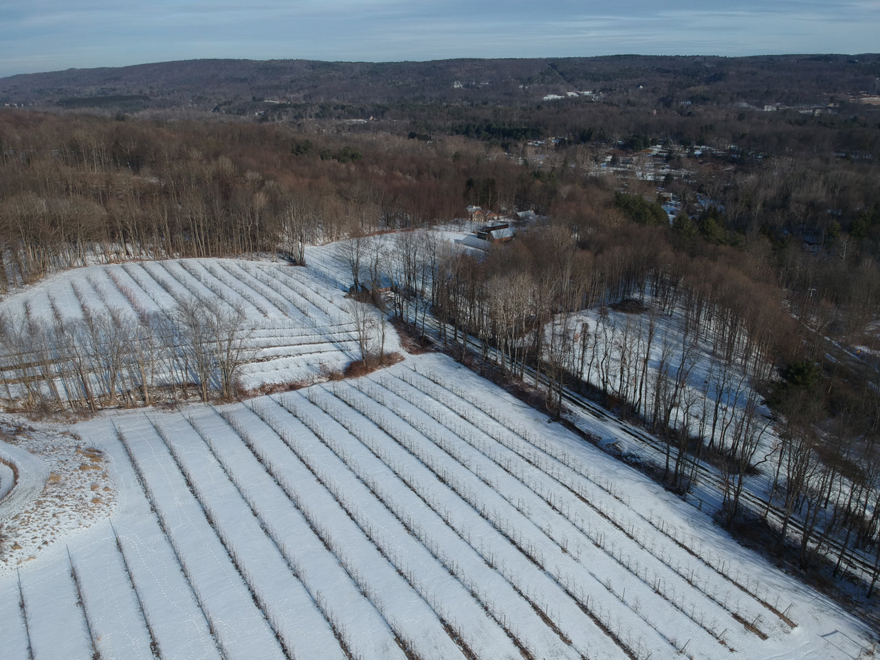 It's still winter on the farm, but our new Pinterest account has lots of springtime photos!