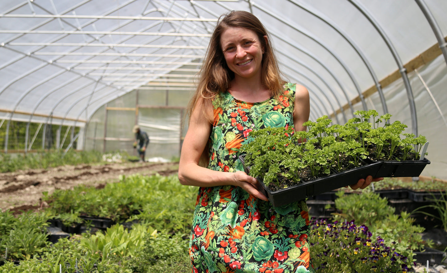 Spring Plant Sale May 19, 2023