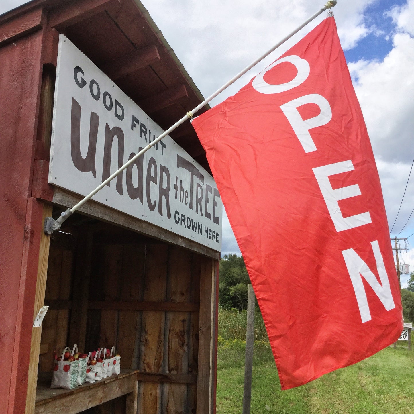 Farm stand open!