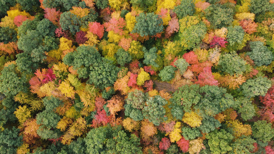 Changing seasons on the farm