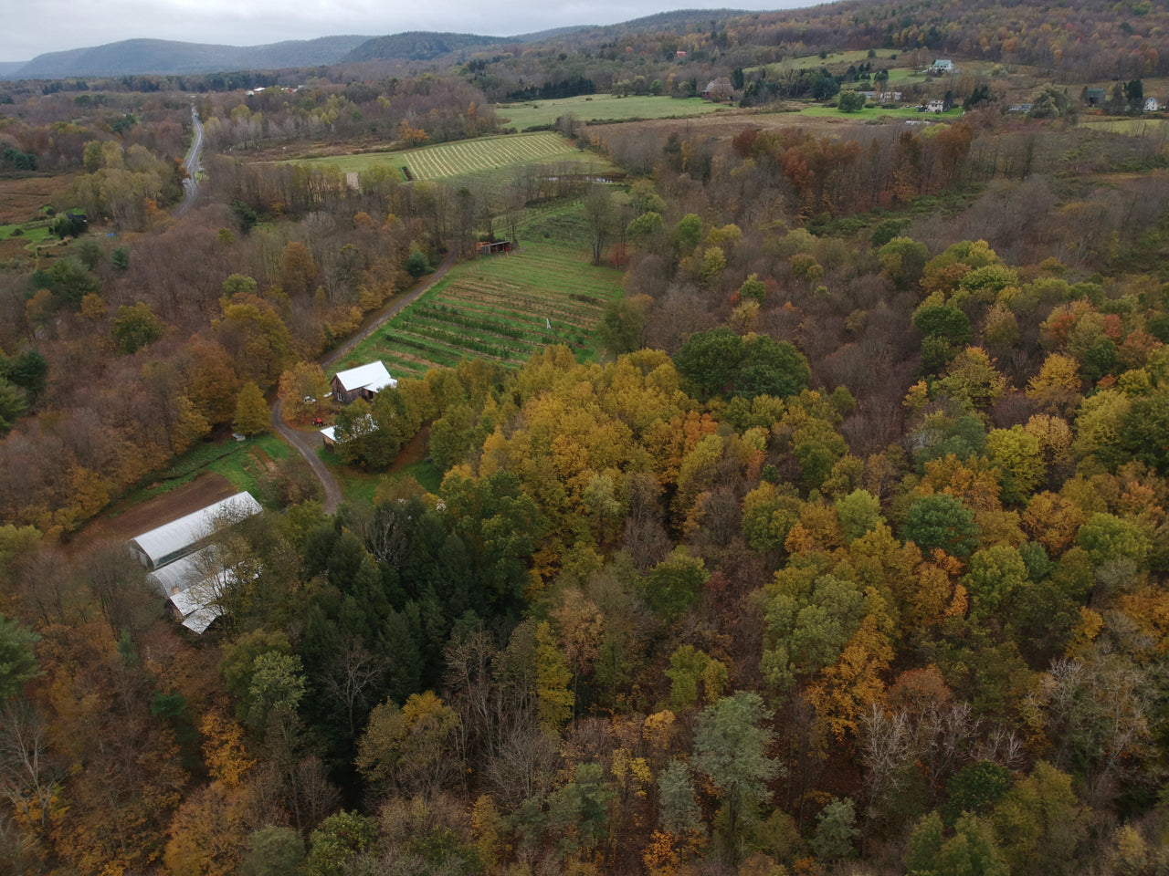 Fall on the farm