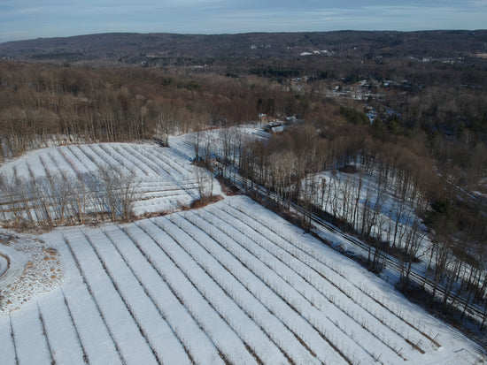 It's still winter on the farm, but our new Pinterest account has lots of springtime photos!