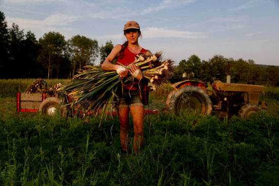 Growing good garlic