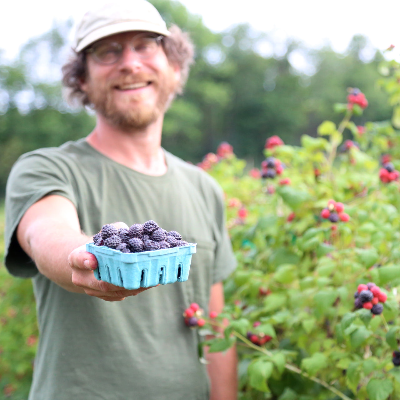 It's berry season!