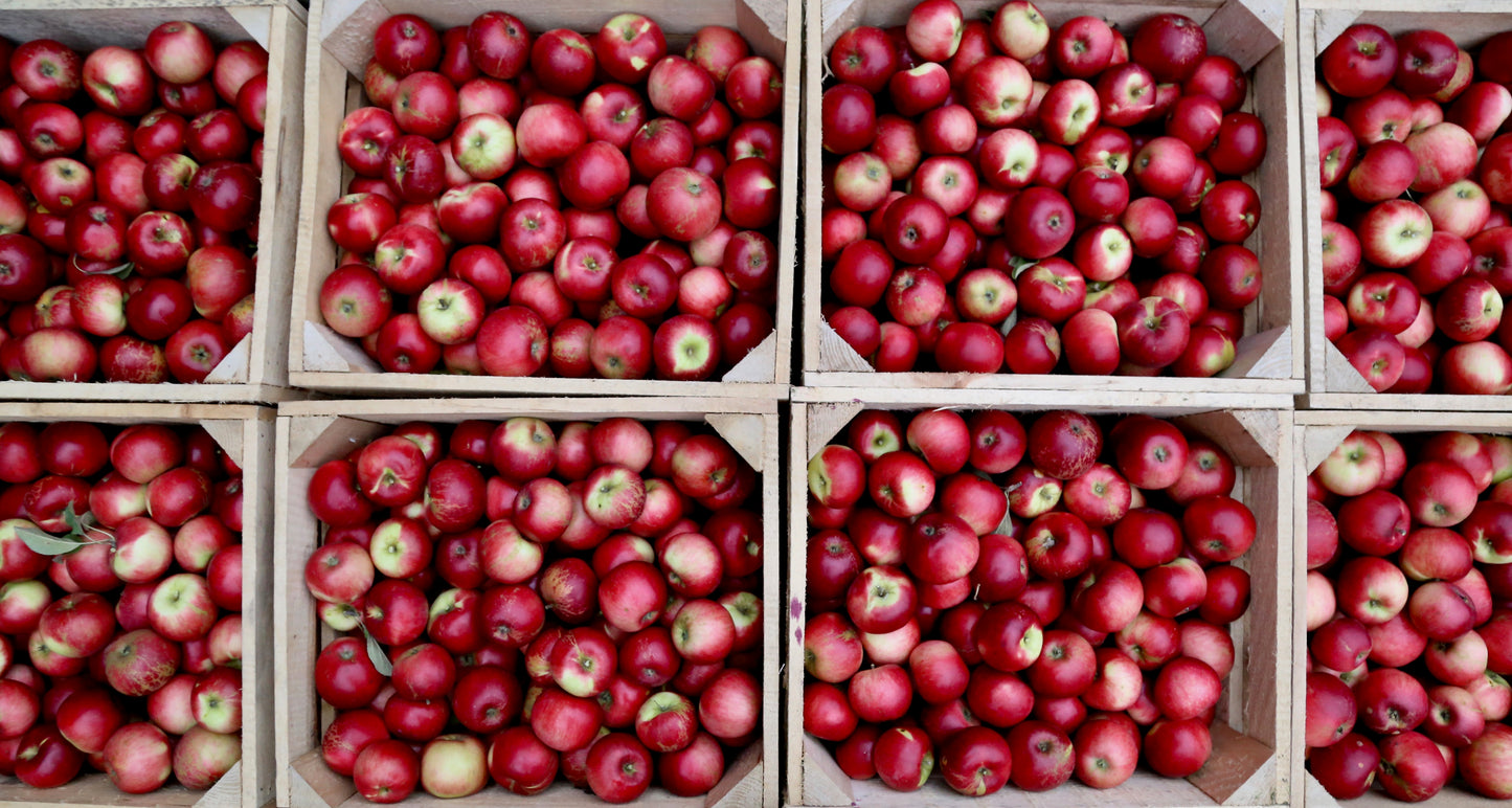 It's apple season! Farm stand open!