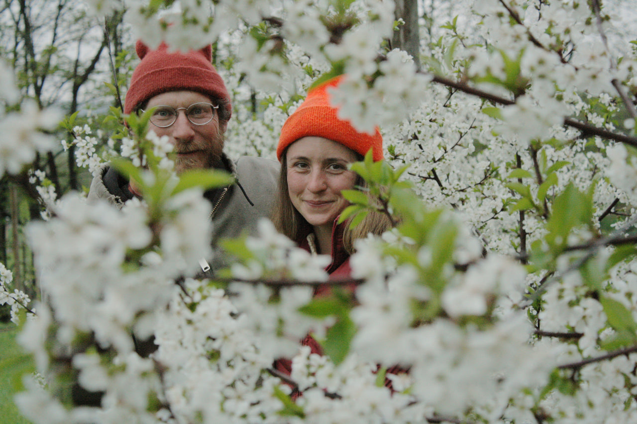 Spring on the farm