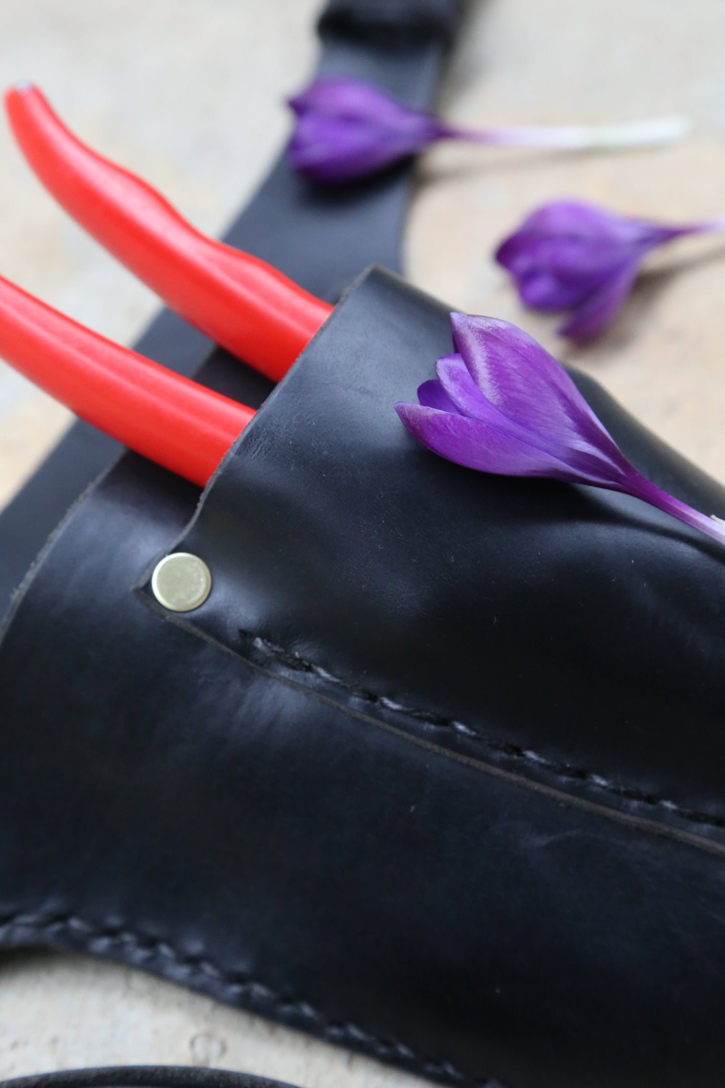 Black Garden Tool Belt