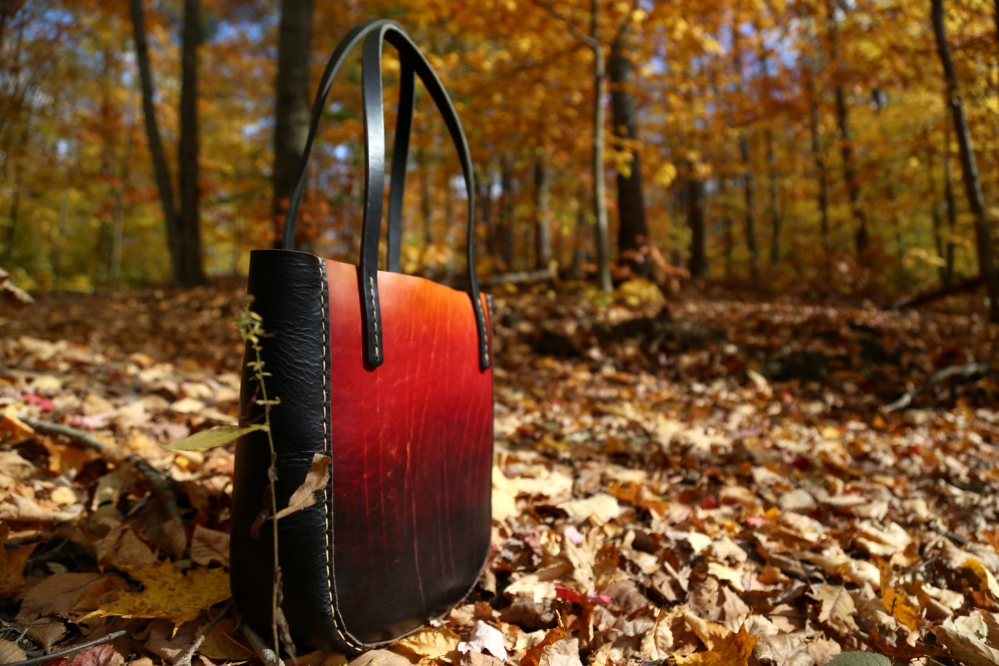 Sunrise//Sunset Tote
